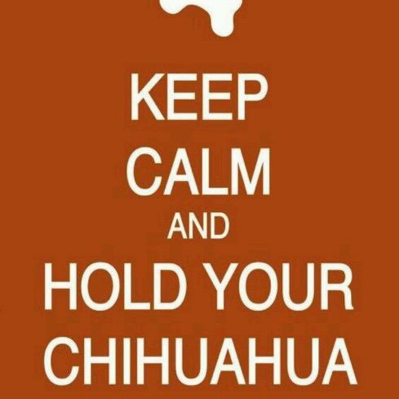 Meet your Posher, Hustle - Picture 1 of 1